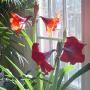 Vicki Powers Photo 18