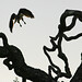 Anita Hawks Photo 18