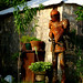 Rusty Knight Photo 27