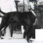 Roger Fuller Photo 27