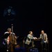 Neil Fitzgerald Photo 34