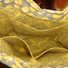 Amy Gray Photo 47