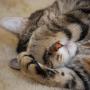 Shelly Johnston Photo 28