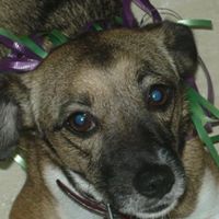 Leah Diaz Photo 1
