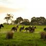 Lucy Brennan Photo 18