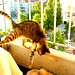 Rita Sweet Photo 31