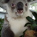 Cheryl Close Photo 34