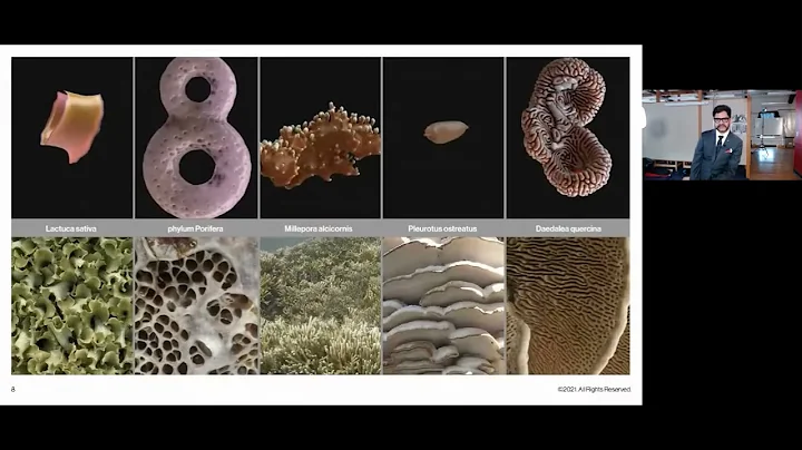 Stephen Oxman Photo 9