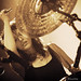 Gerard Roche Photo 20