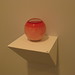 Glenn Goldberg Photo 29