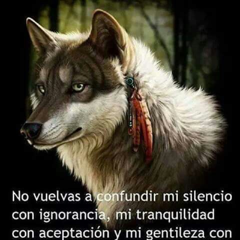 Jorge Wolf Photo 6