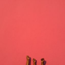 Joy Johnson Photo 6
