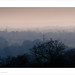 Chris Dyke Photo 43