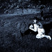 Peter Vickery Photo 31