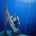 Gary Spiegel Photo 28