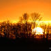 Allen Sun Photo 32