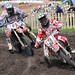 David Metz Photo 42