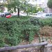 Lisa Platz Photo 21