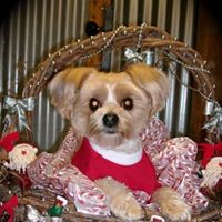 Peggy Glover Photo 5