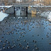 Il Park Photo 23