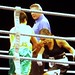 Priscilla Robinson Photo 39