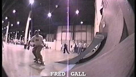 Dan Wolfe Photo 36