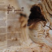 Dawn Newsom Photo 25
