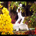 K Naidu Photo 26