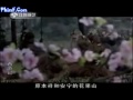 Quan Trinh Photo 30