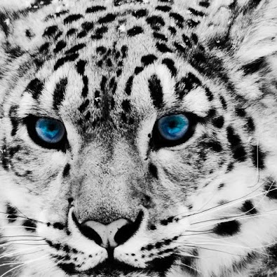 Sarah Reeder Photo 14
