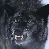 Douglas Ott Photo 7