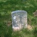 Elizabeth Goodrich Photo 33