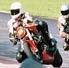 Brian Groves Photo 12
