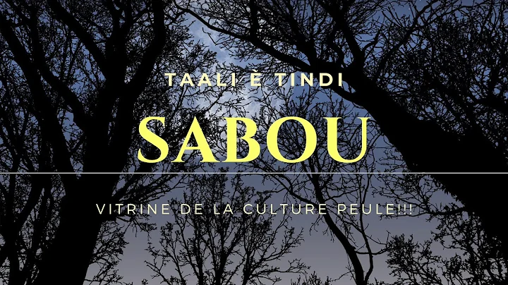 Amadou Sowe Photo 18