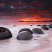 Dawn Sisson Photo 30