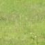 Robert Vokes Photo 3
