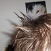 Adam Hair Photo 29