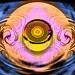 Craig Hollander Photo 24