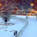 Dawn Collier Photo 33