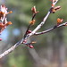 Aimee Bloom Photo 15