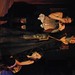 Jamie Magness Photo 19