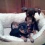 Debra Kennedy Photo 26