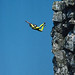 Russell Powell Photo 51