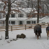 Christine Halliwell Photo 2