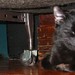 Bart Benson Photo 30