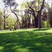 Antonio Milanes Photo 13