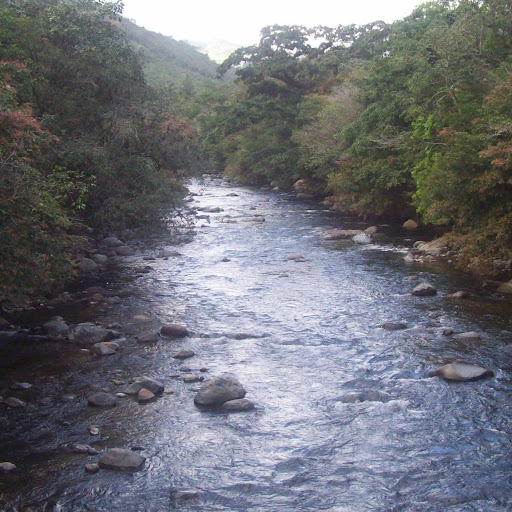 Yaquelin Rodriguez Photo 10