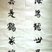 Run Zhao Photo 17