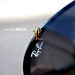 Ray Leis Photo 12