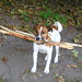 Russell Carlson Photo 41